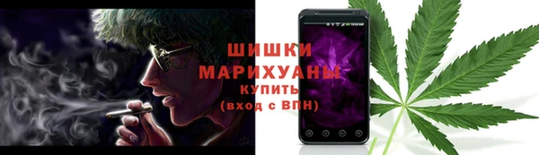 шишки Балабаново