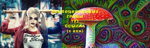 apvp Балахна