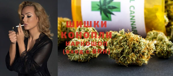 шишки Балабаново