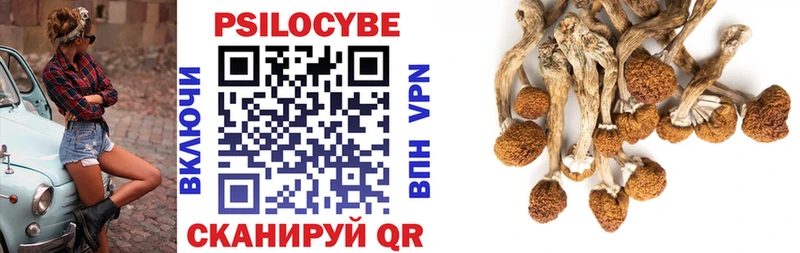 Галлюциногенные грибы Psilocybe  Валуйки 