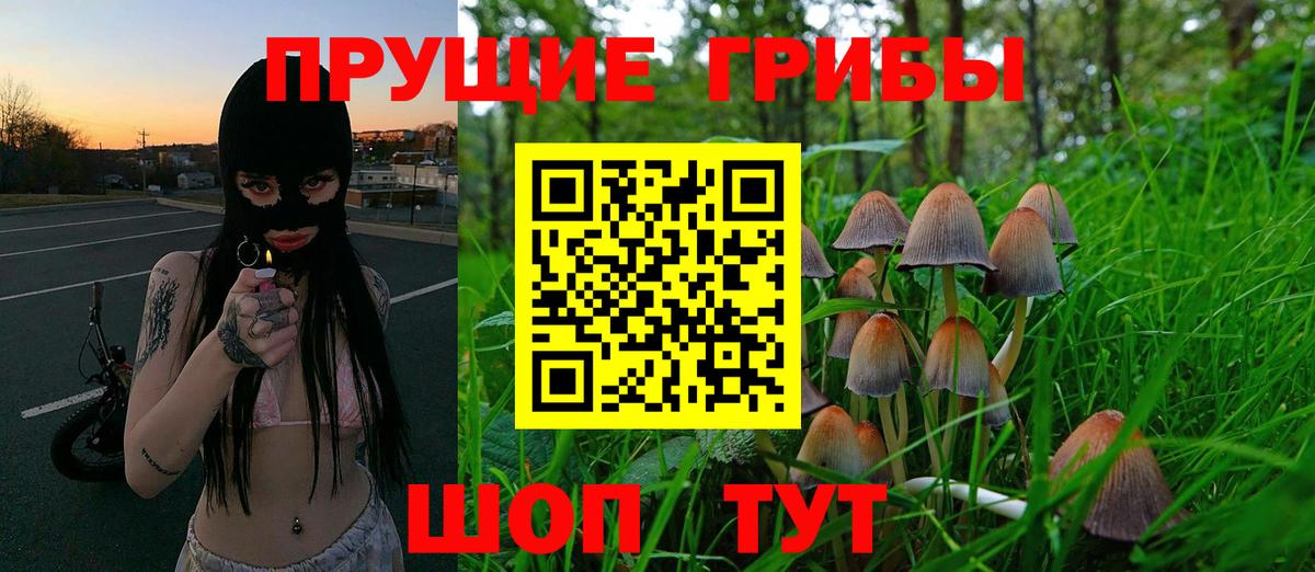 Валуйки  купить   Вход с VPN  Псилоцибиновые грибы Psilocybe 